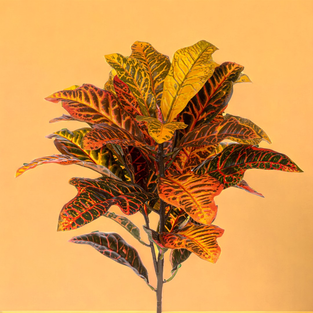Croton pianta artificiale • 60 cm