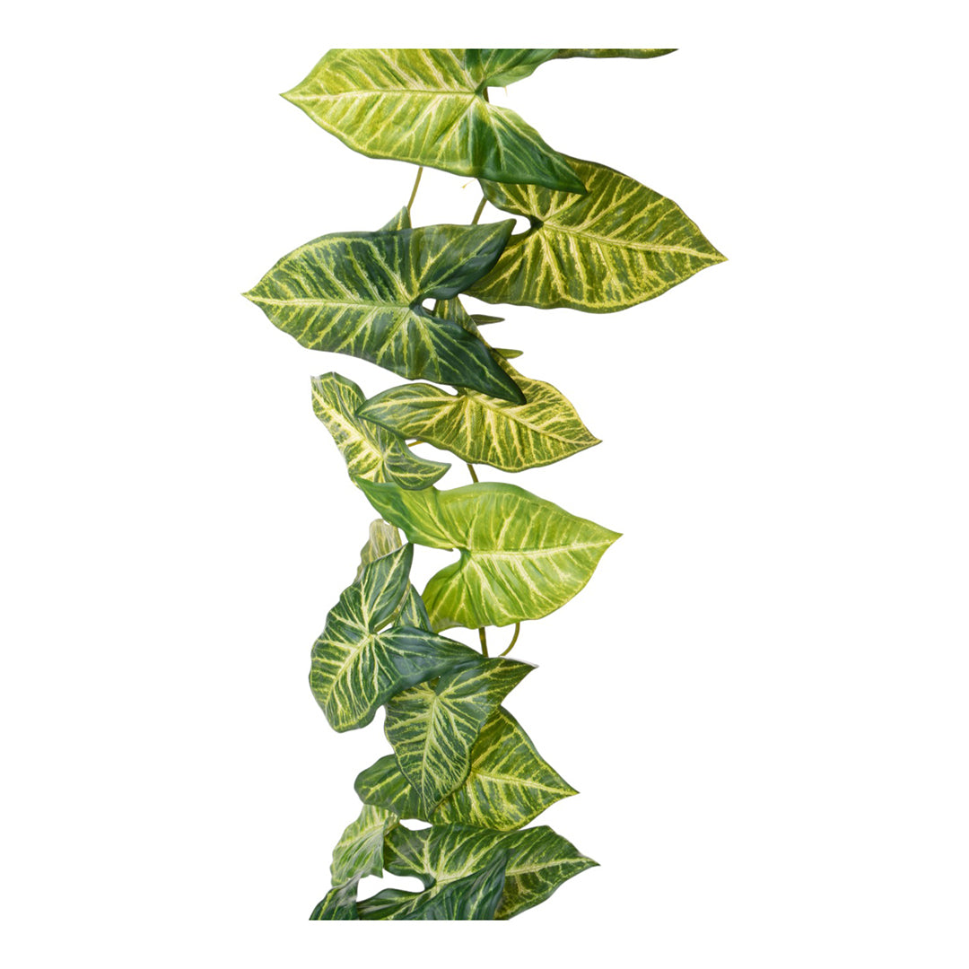 2 Pezzi • Ghirlanda artificiale Syngonium Real Touch • 130 cm