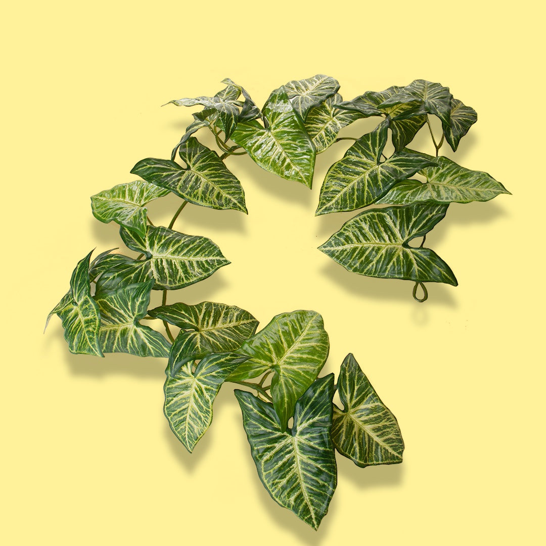 2 Pezzi • Ghirlanda artificiale Syngonium Real Touch • 130 cm