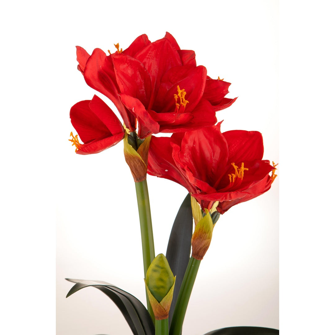 Amaryllis artificiale con vaso • 64 cm