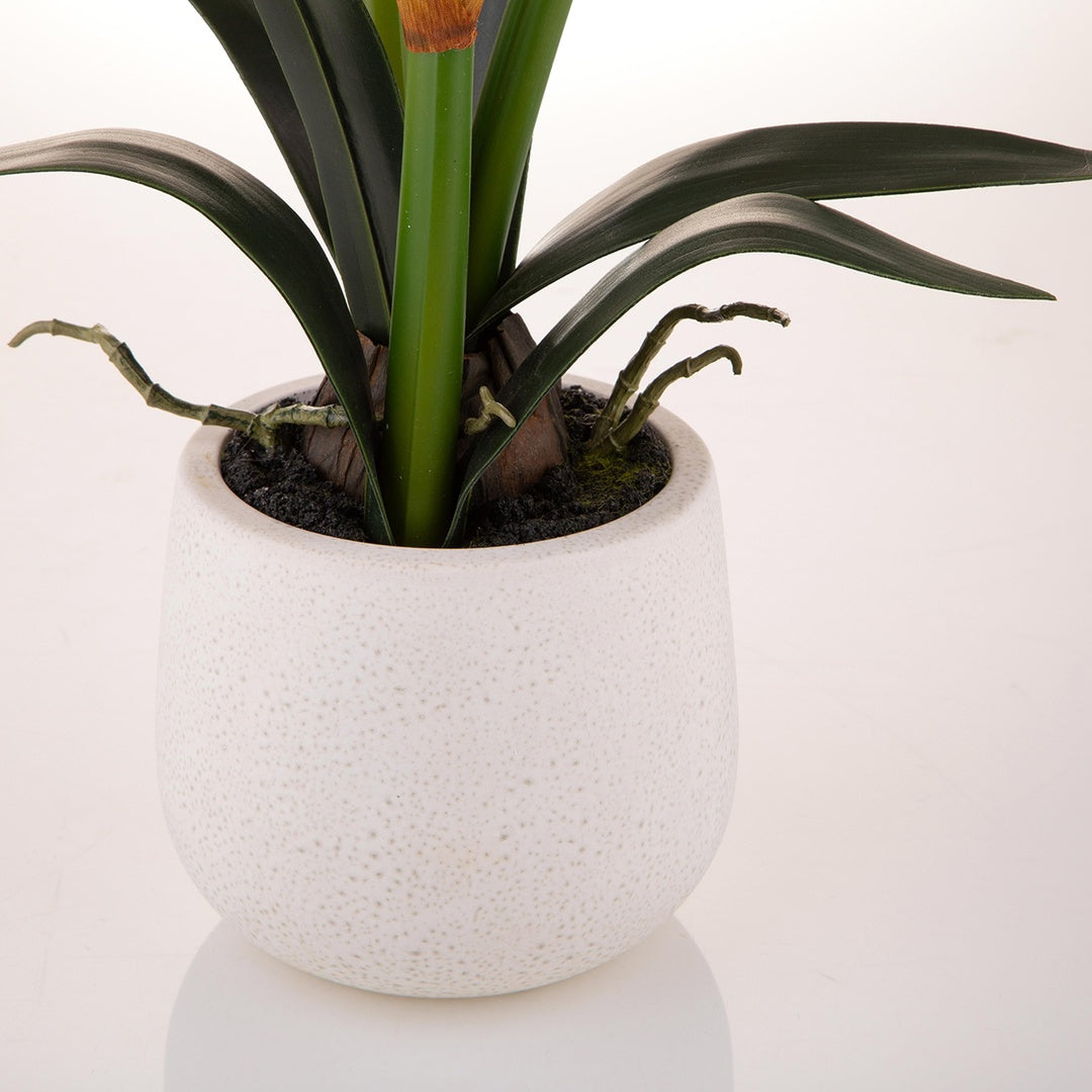 Amaryllis artificiale con vaso • 64 cm