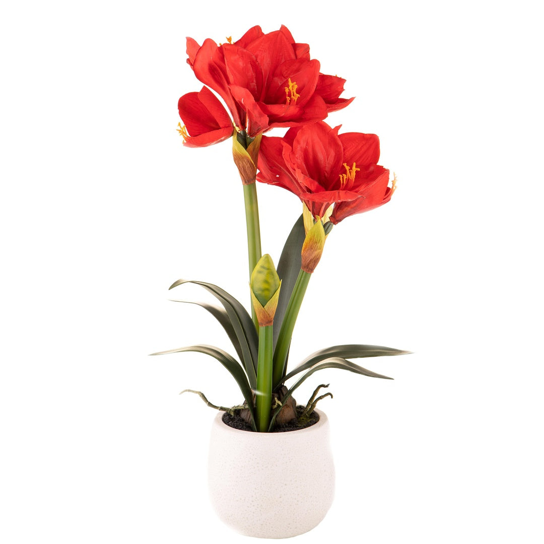 Amaryllis artificiale con vaso • 64 cm