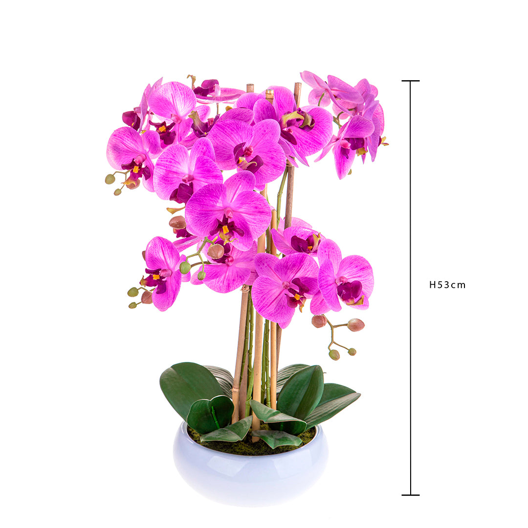 Pianta di orchidea artificiale phalaenopsis vaso • 53 cm