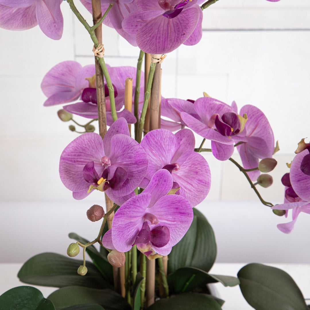 Pianta di orchidea artificiale phalaenopsis vaso • 53 cm