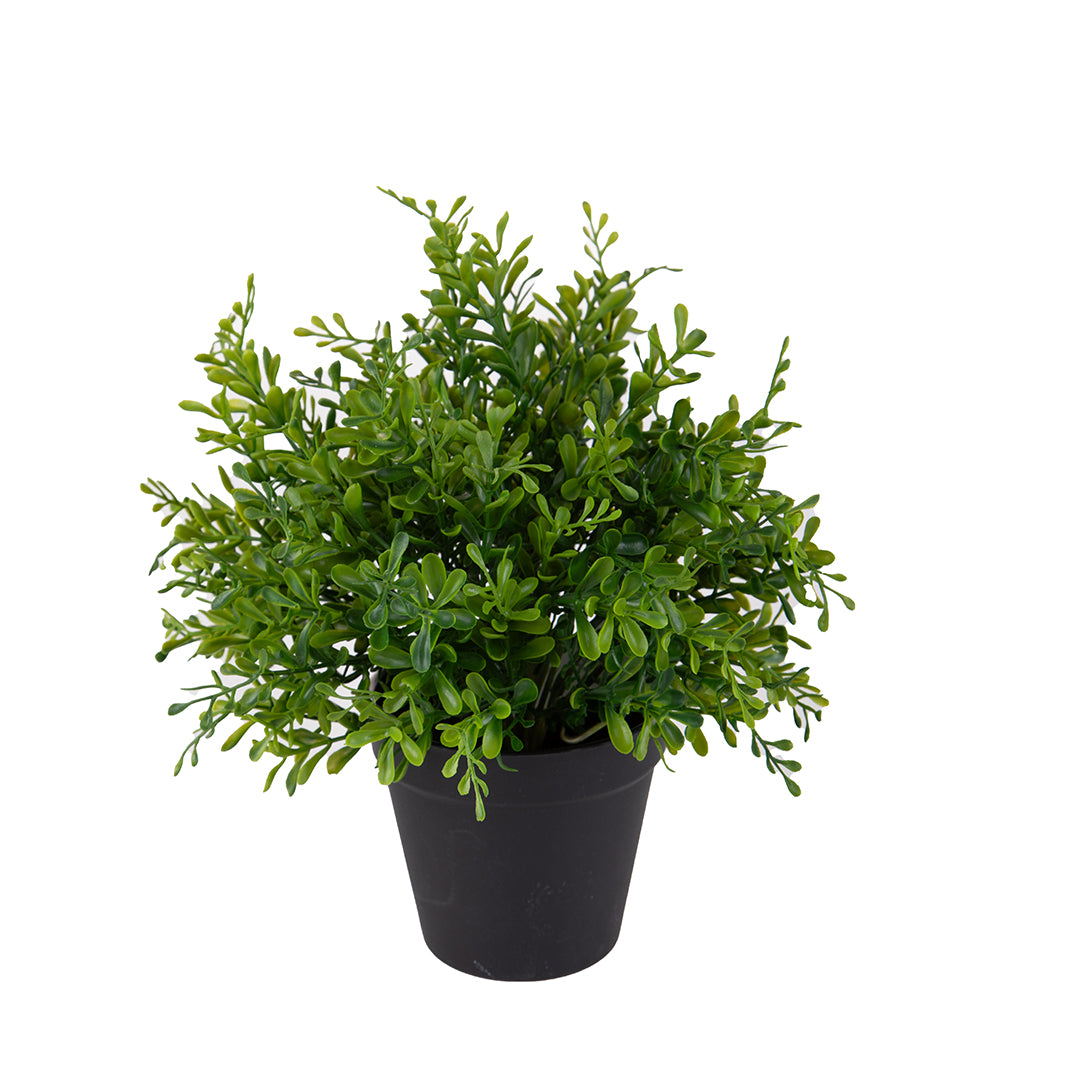 Pianta di bossolo artificiale In Vaso artificiale • 28 cm