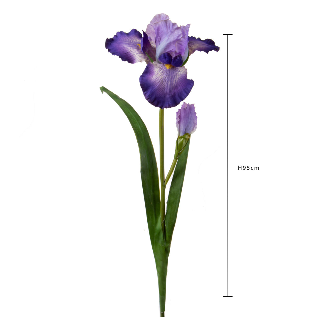 2 Pezzi • Giaggiolo Fiore • 95 cm