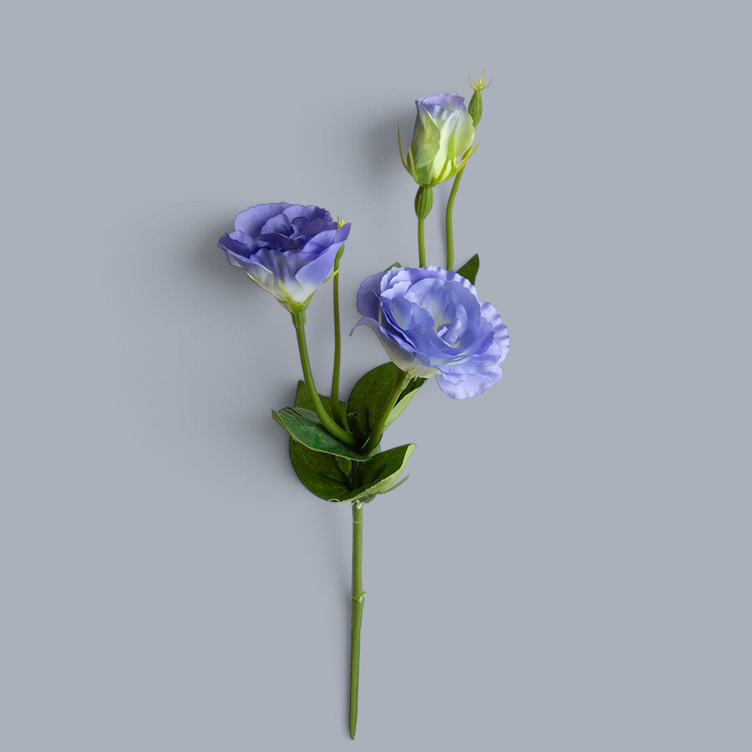12 Pezzi • Lisianthus 2 Fiori/1 Boccio • 43 cm