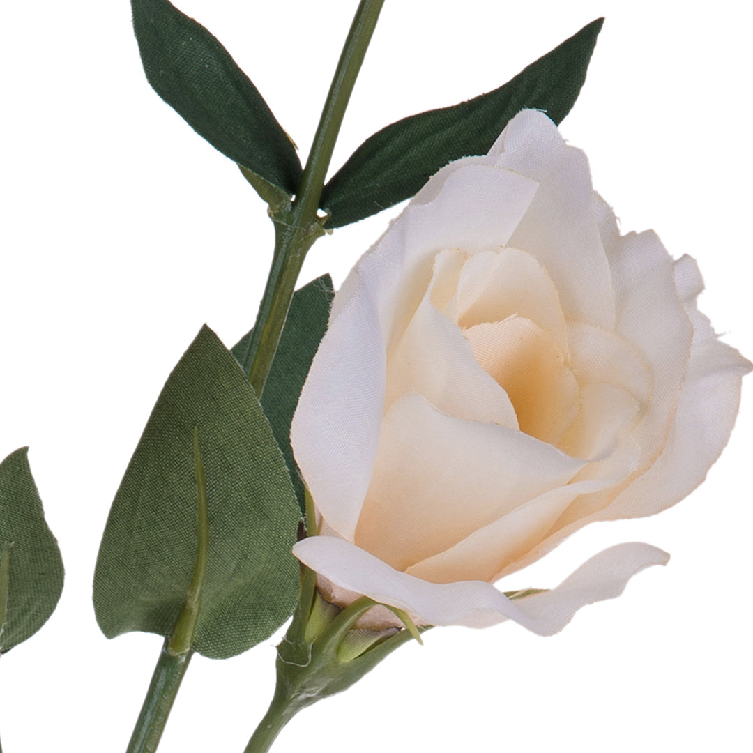 4 Pezzi • Ramo camelia artificiale • 75 cm