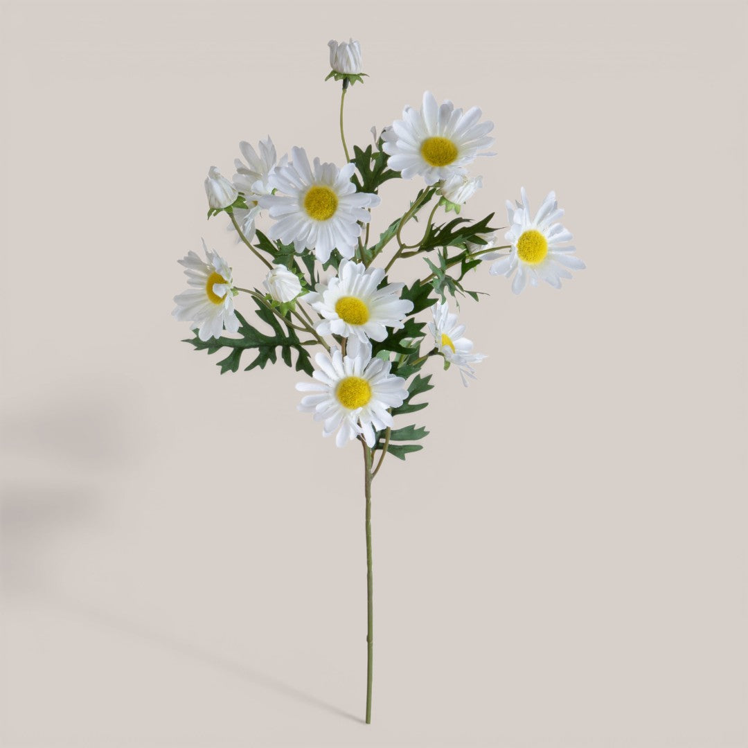 Margherita per 9 • 62 cm