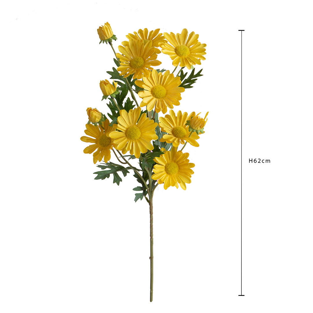 Margherita per 9 • 62 cm