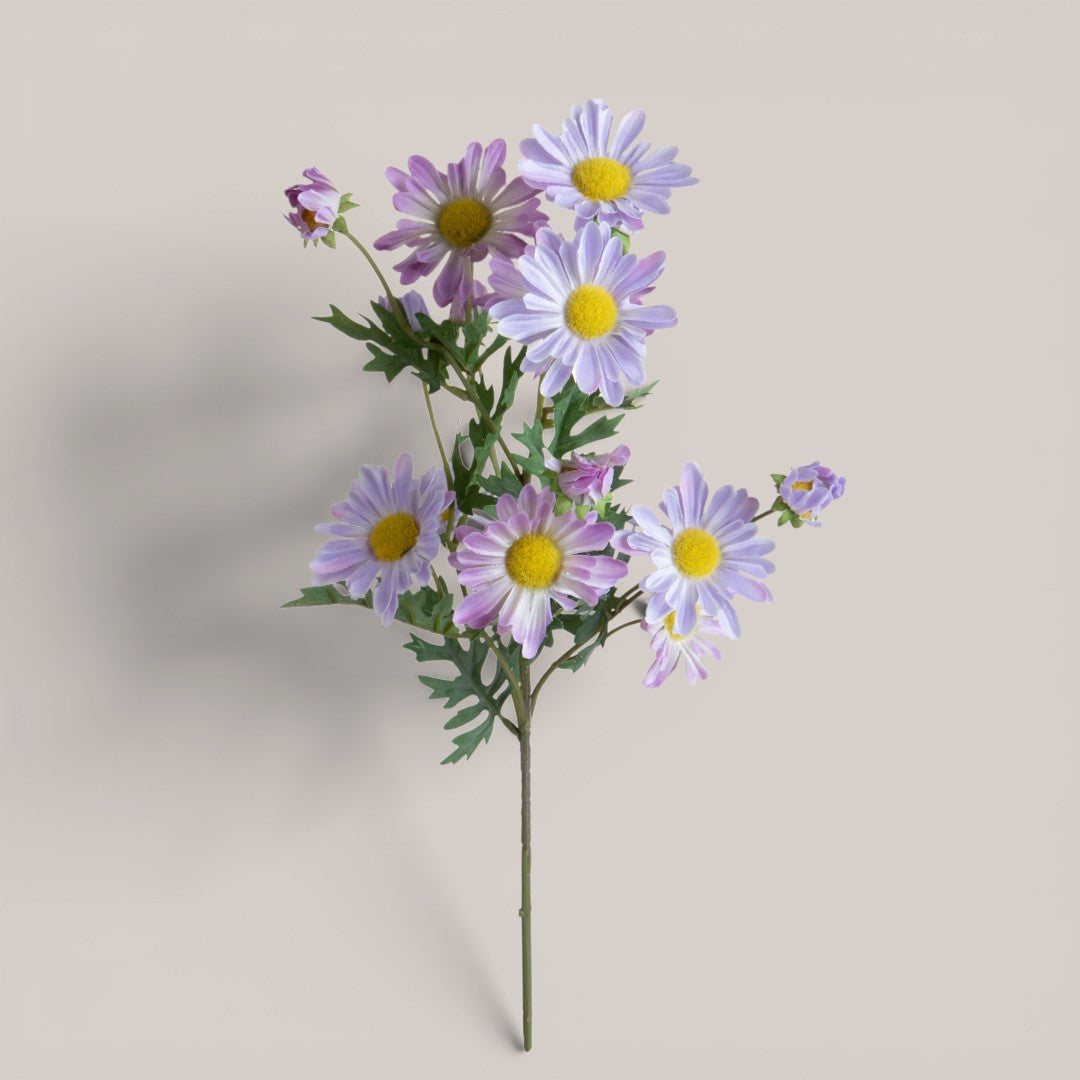 Margherita per 9 • 62 cm