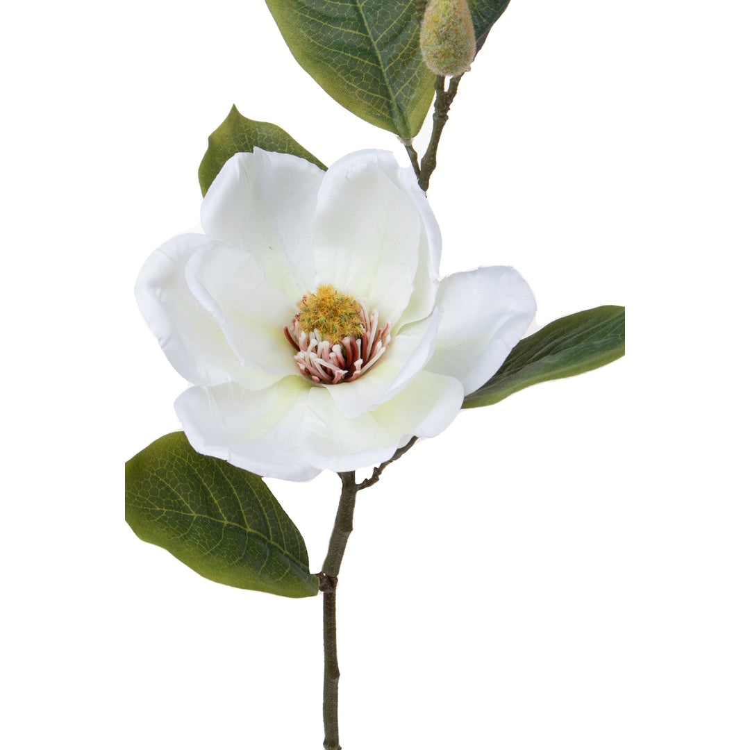 2 Pezzi • Fiore di Magnolia artificiale • 65 cm