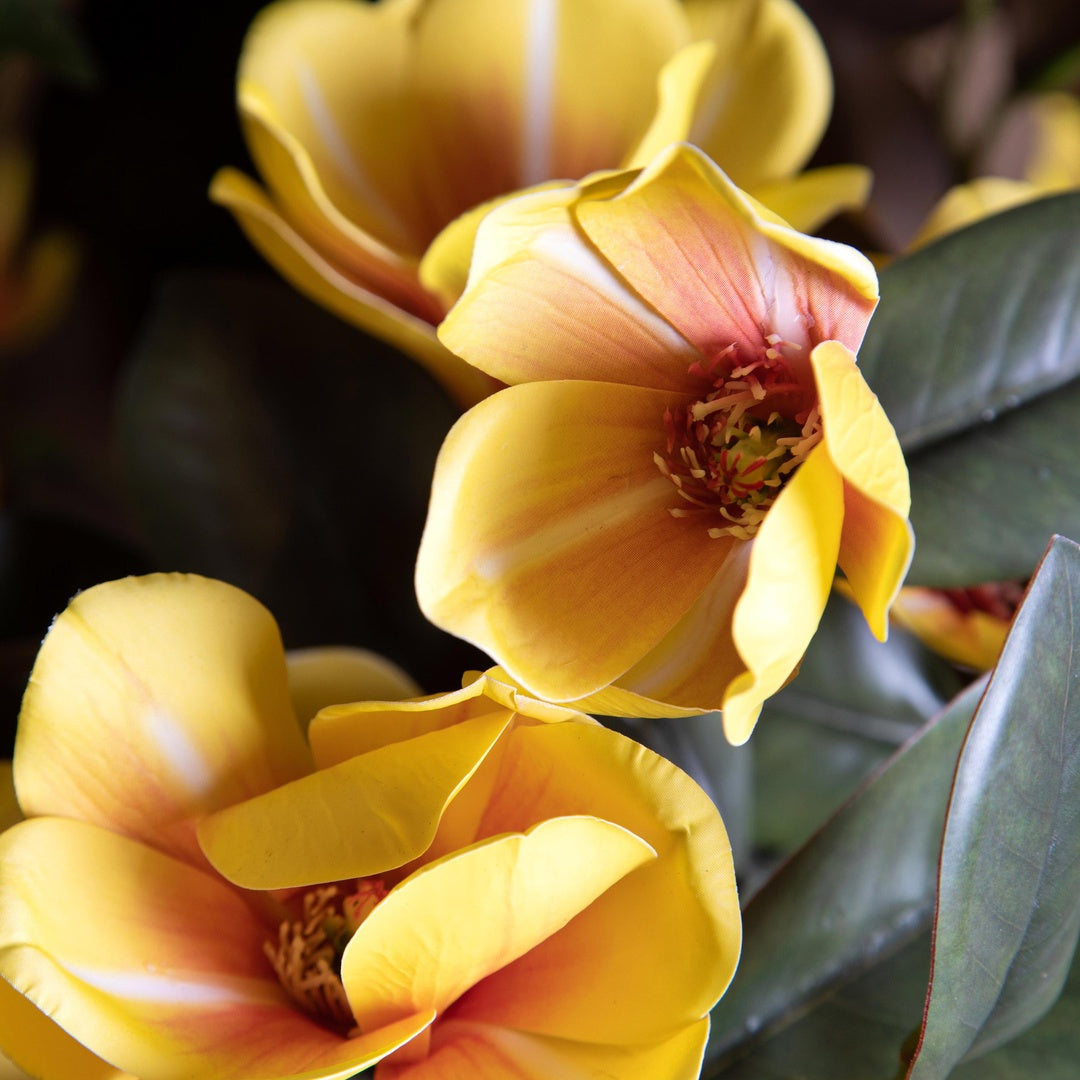 3 Pezzi • Magnolia artificiale real touch • 72 cm