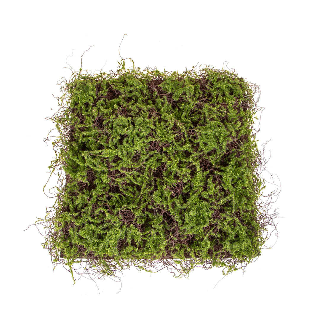 Verde artificiale Mattonella di lichene artificiale • 50 cm