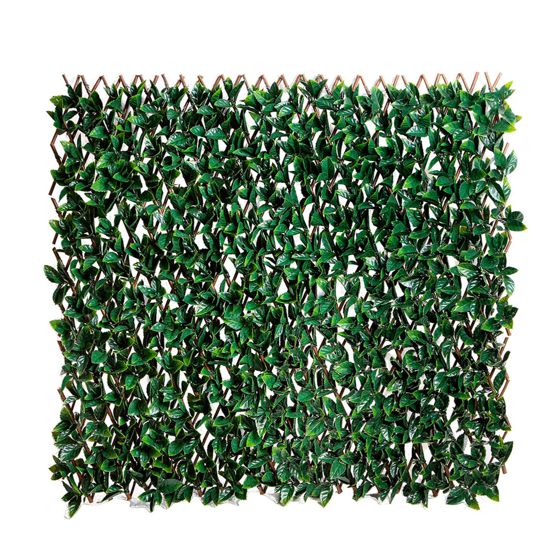 Verde artificiale Lauro estensibile artificiale • 200 cm