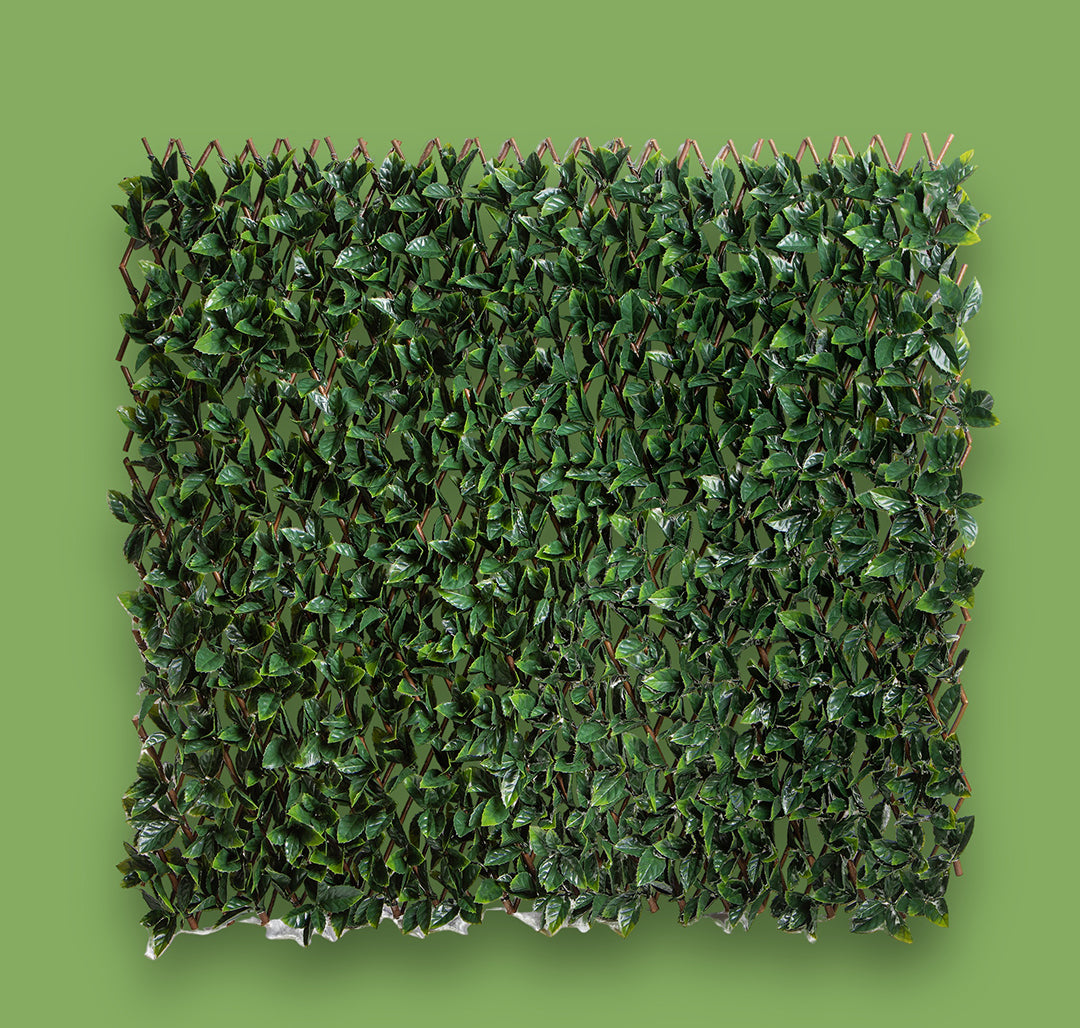 Verde artificiale Lauro estensibile artificiale • 200 cm