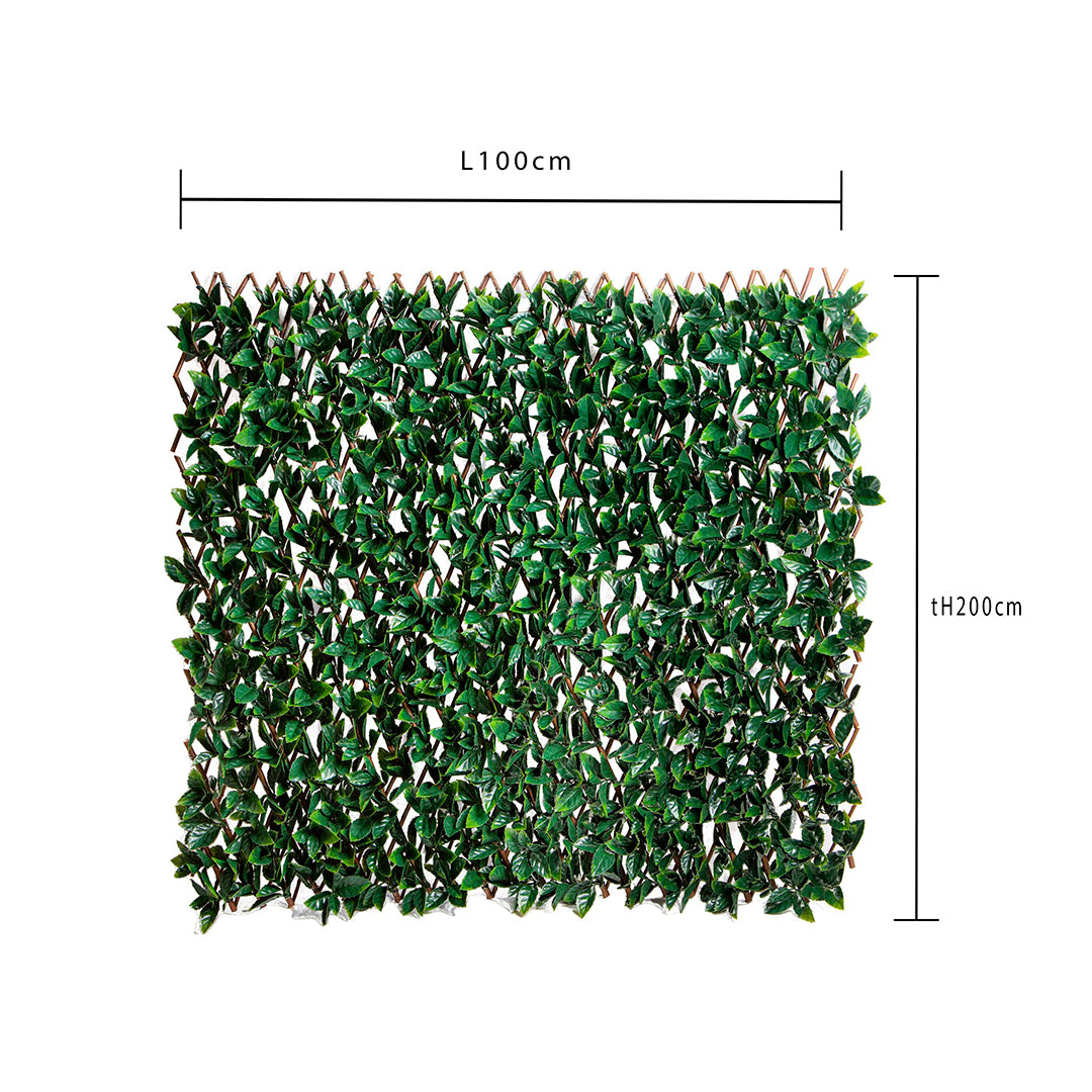 Verde artificiale Lauro estensibile artificiale • 200 cm