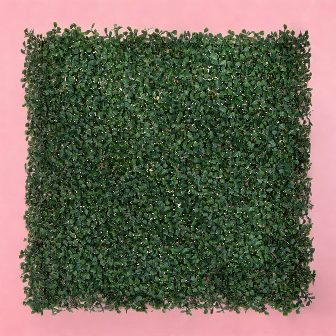 Verde artificiale Matonella dicondra artificiale • 50 cm