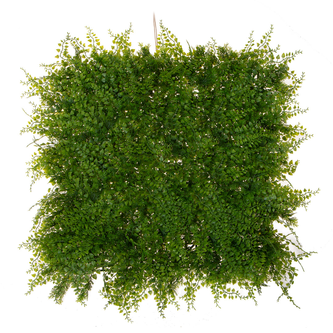 Matonella mix felce • 50X50cm