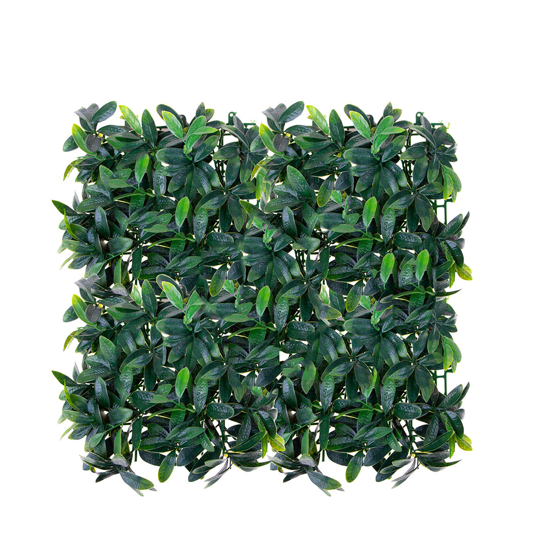 Verde artificiale Mattonella pitosforo artificiale • 50 cm