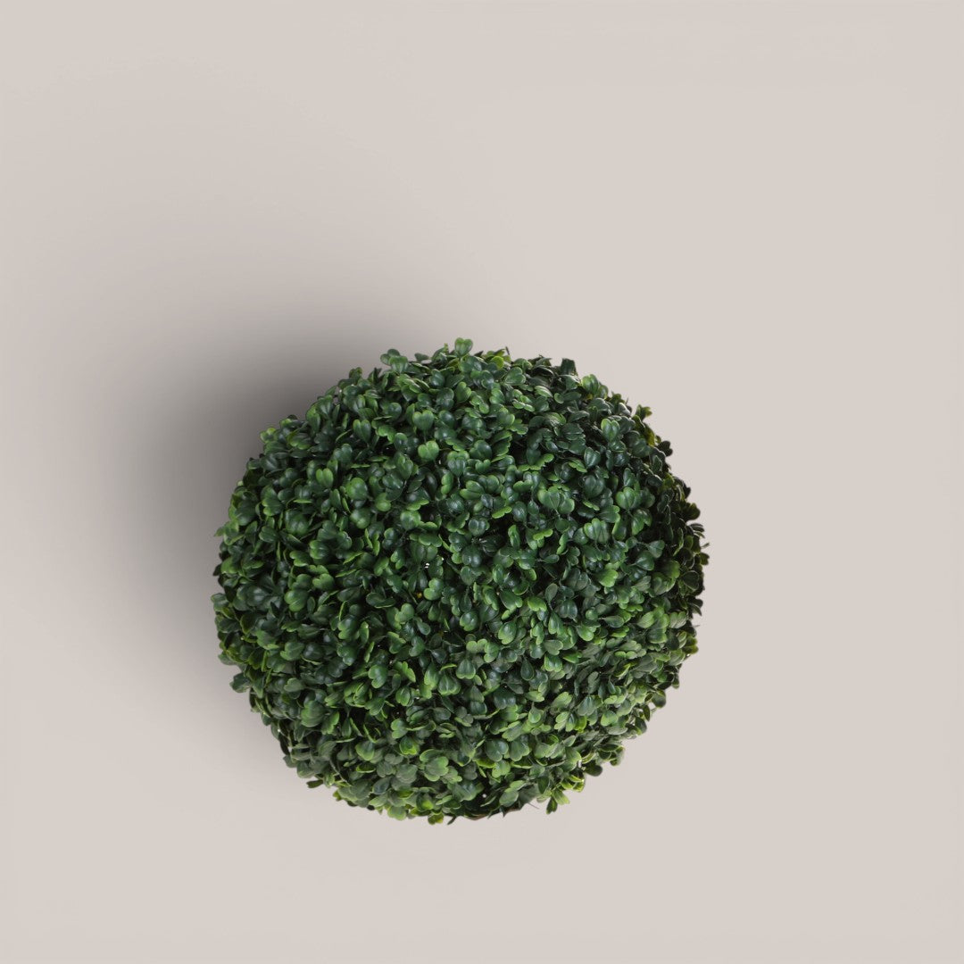 Sfera D. Dichondra • 30 cm