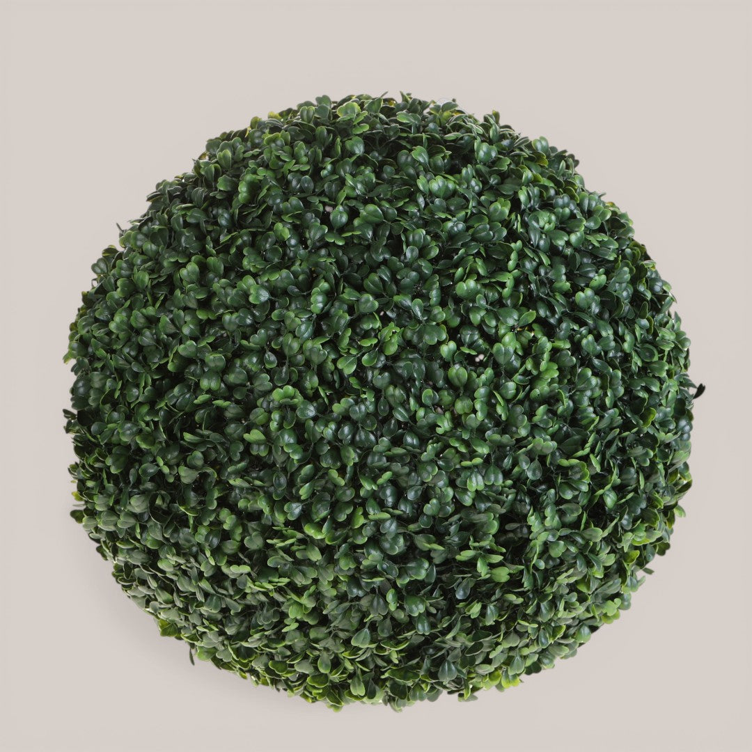 Sfera D. Dichondra • 50 cm
