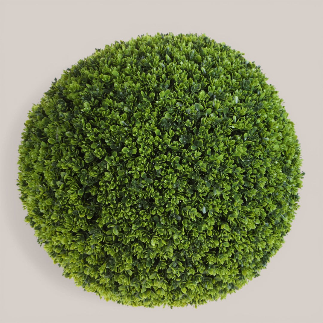 Sfera D. Bosso • 50 cm