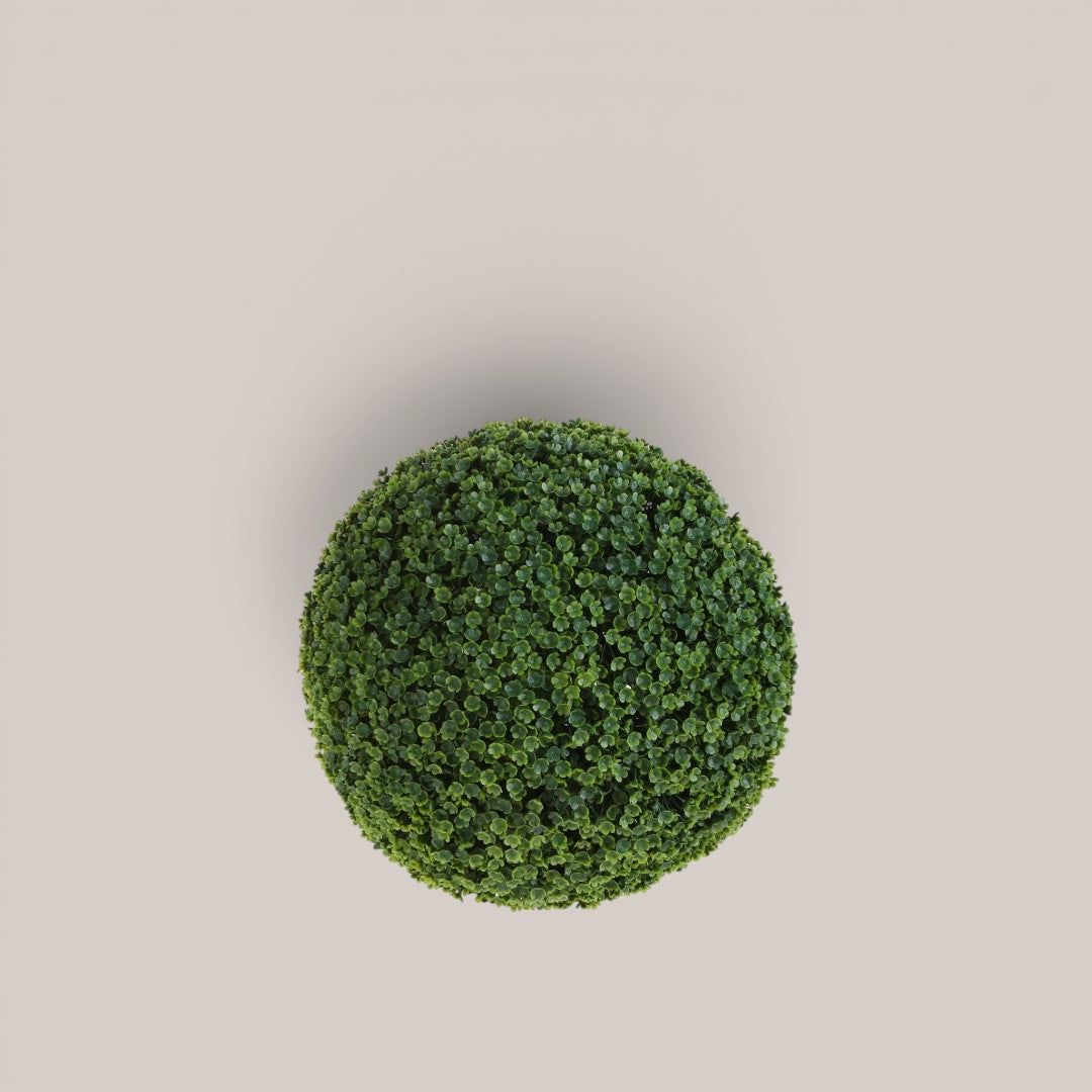 Sfera Frog Joy • 30 cm
