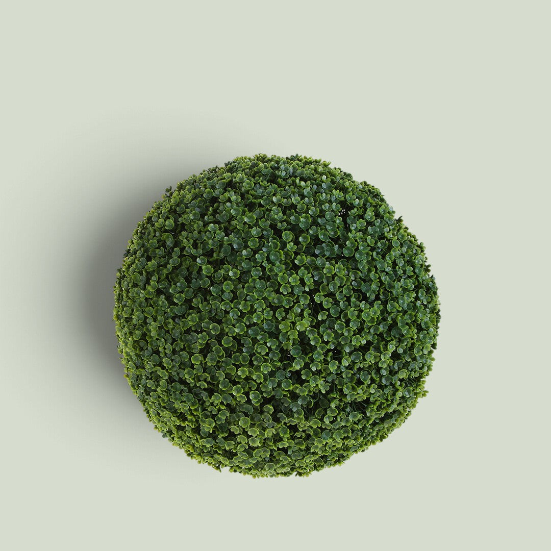 2 Pezzi • Sfera Frog Joy • 40 cm