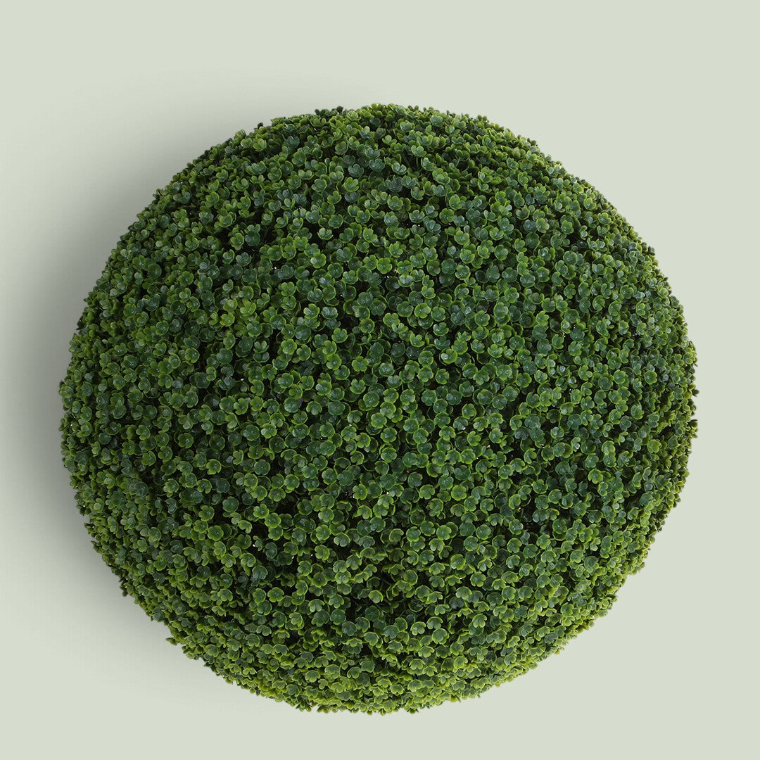 Sfera Frog Joy • 50 cm