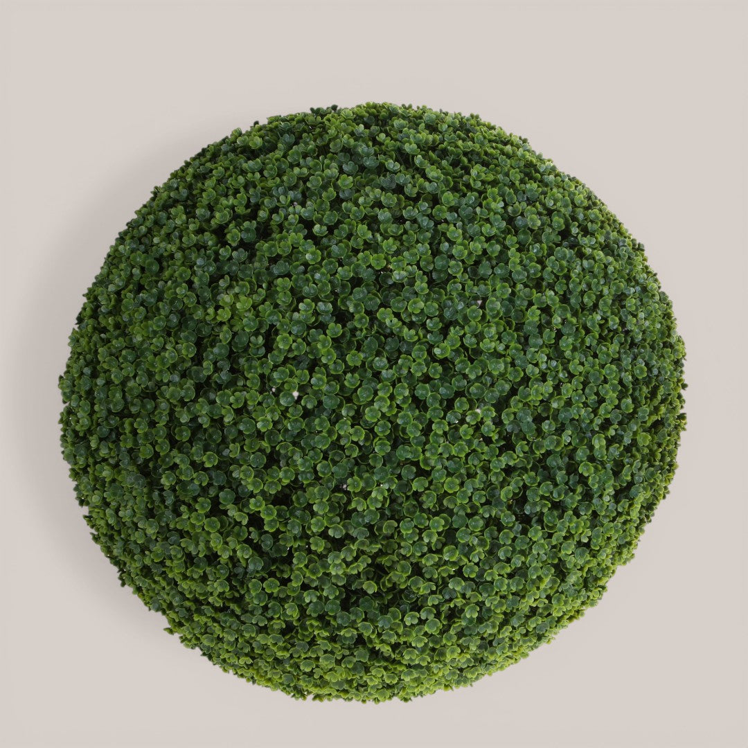 Sfera Frog Joy • 50 cm