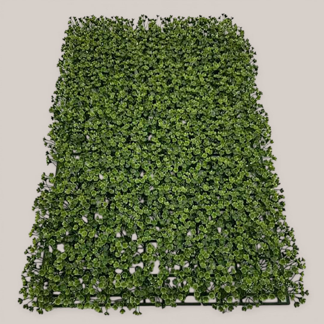 Mattonella 40X Frog Joy • 60 cm