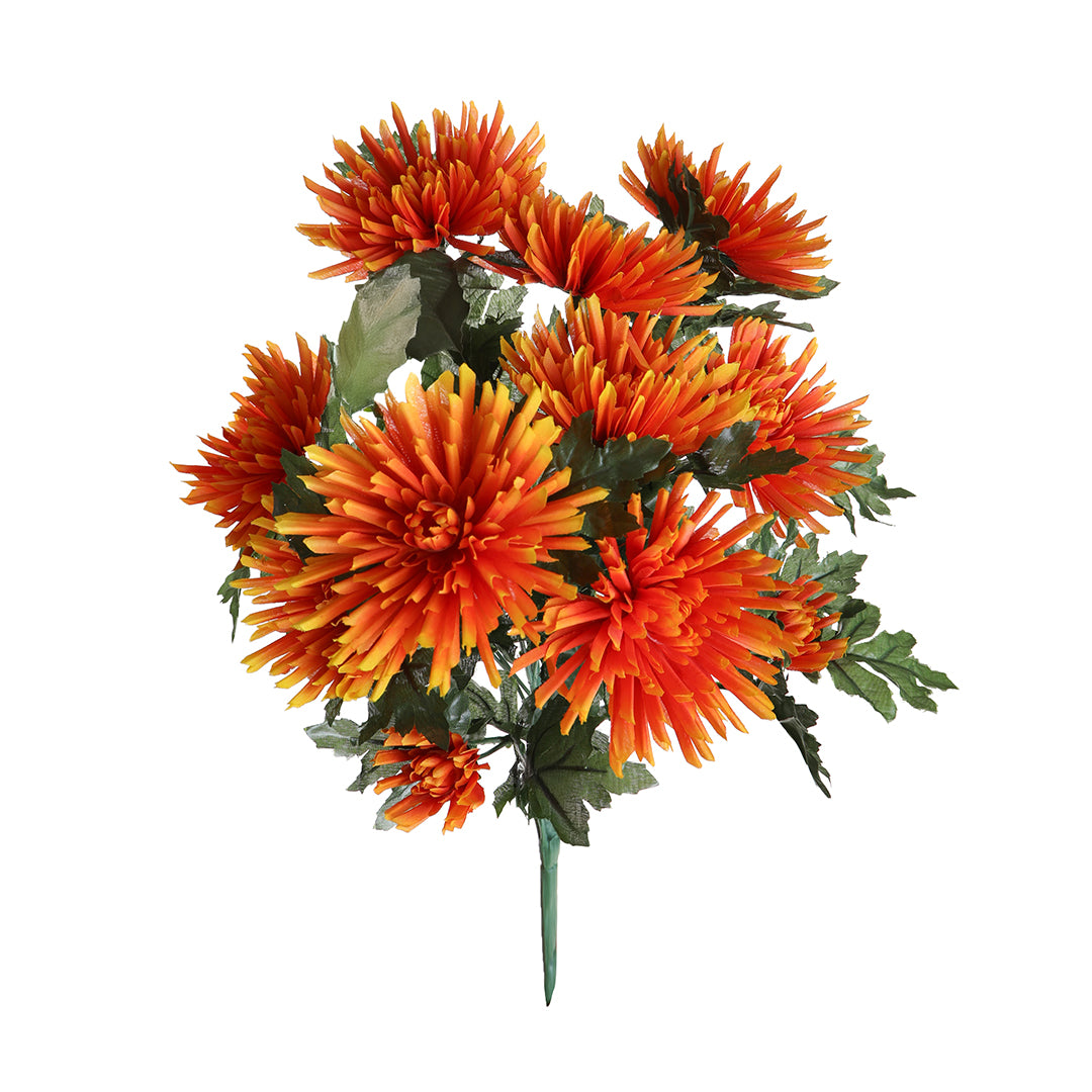 Crisantemo Fuji Spider per 12 fiori • 52 cm