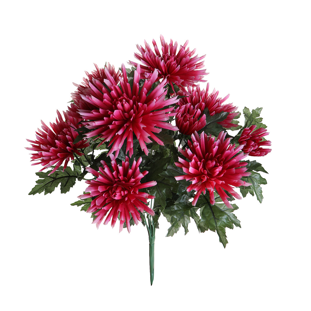 Crisantemo Fuji Spider per 12 fiori • 52 cm