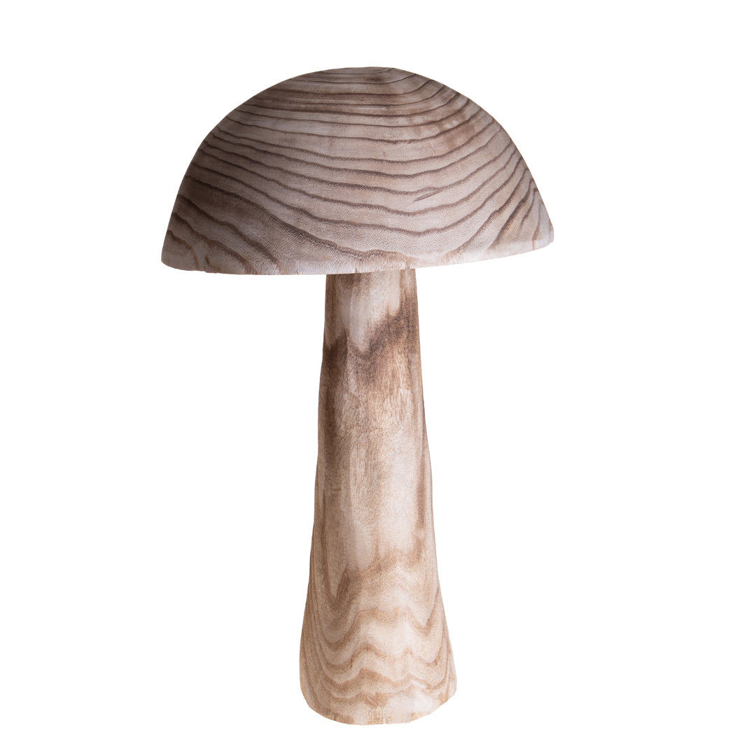 Fungo • 60,5 cm