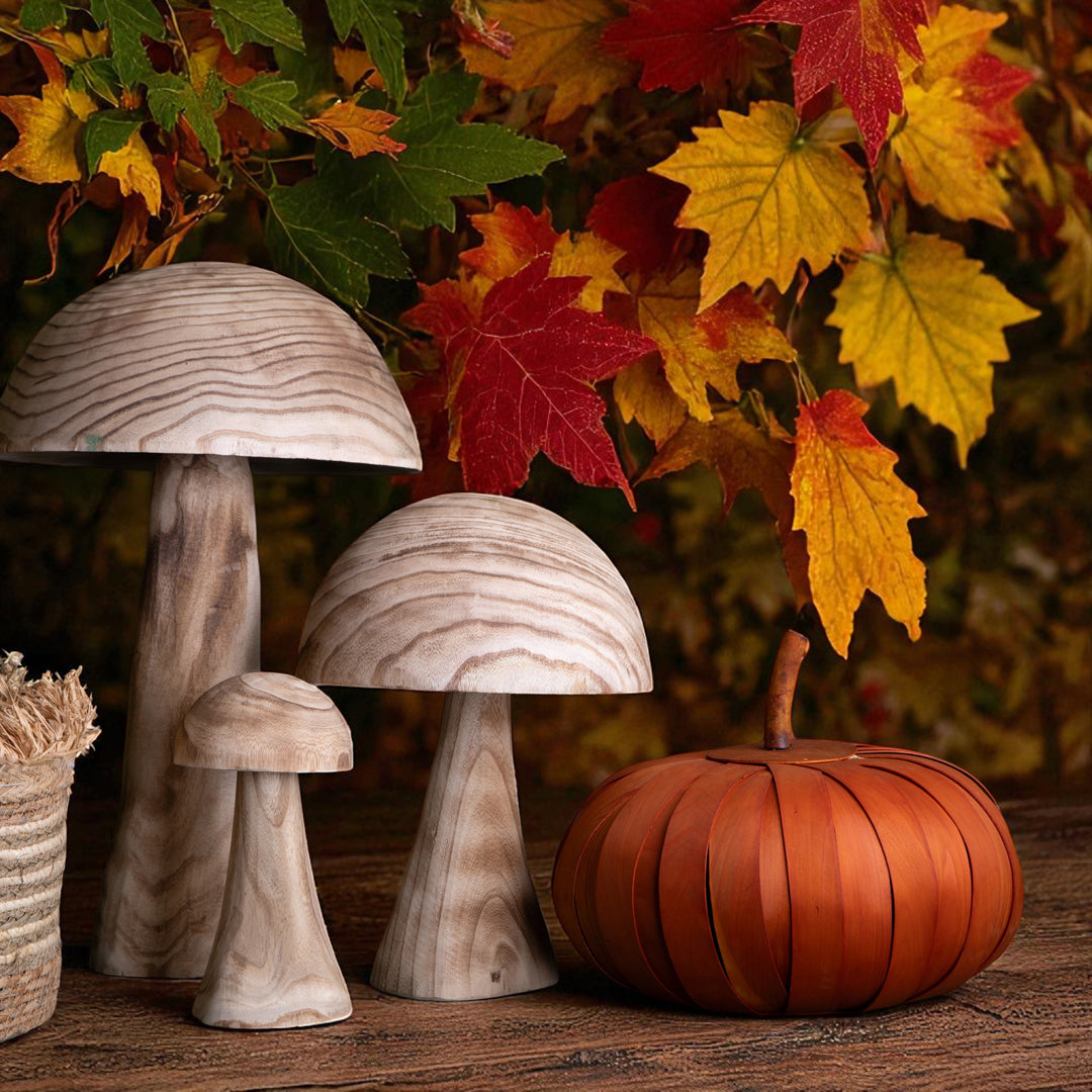 Zucca Dcon Fiocco • 32 cm