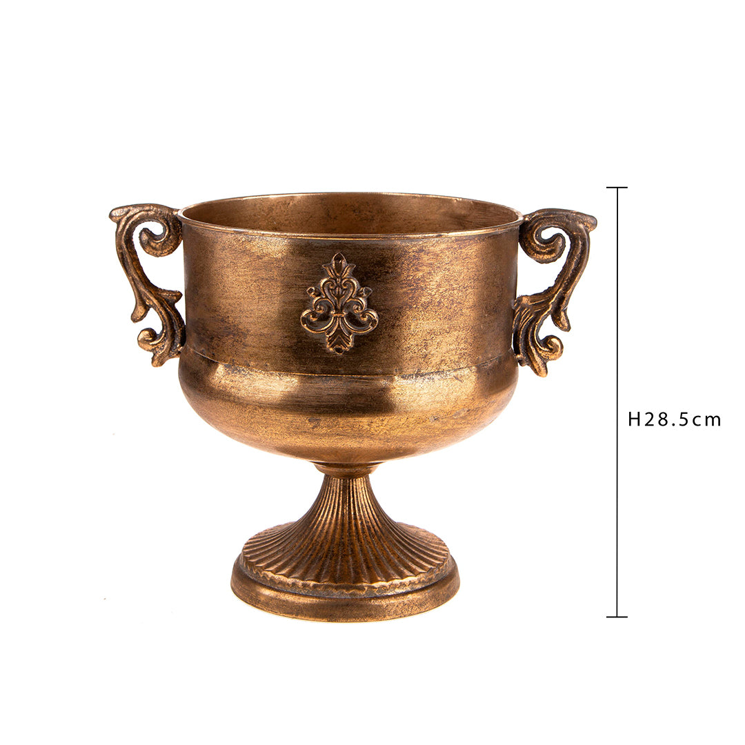 Coppa in metallo manici • 28,5 cm