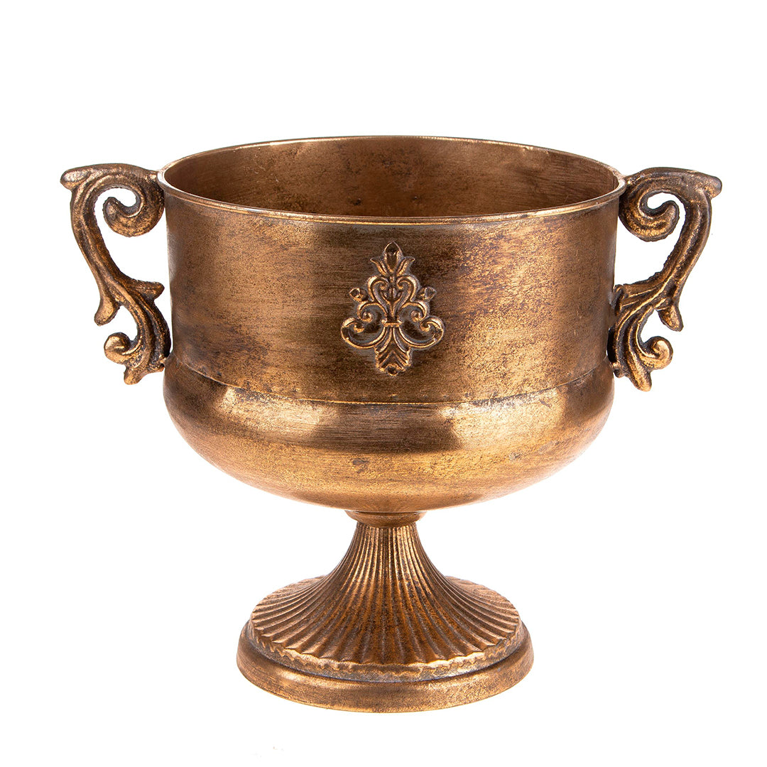 Coppa in metallo manici • 28,5 cm