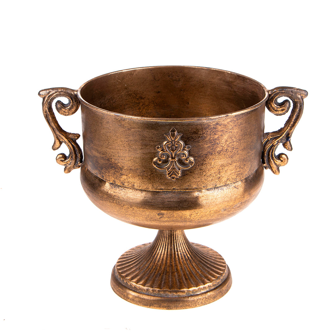 Coppa in metallo manici • 28,5 cm