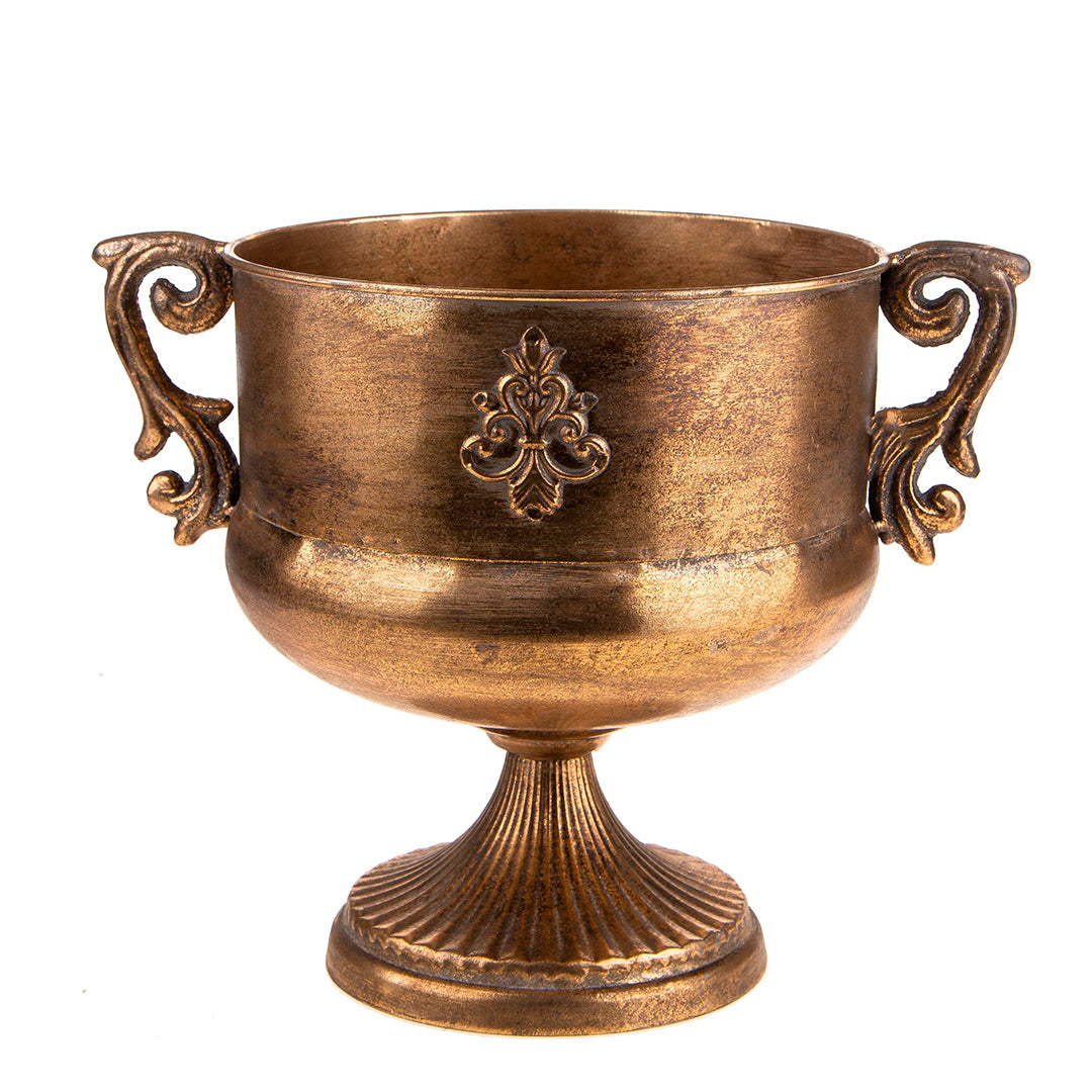 Coppa in metallo manici • 28,5 cm