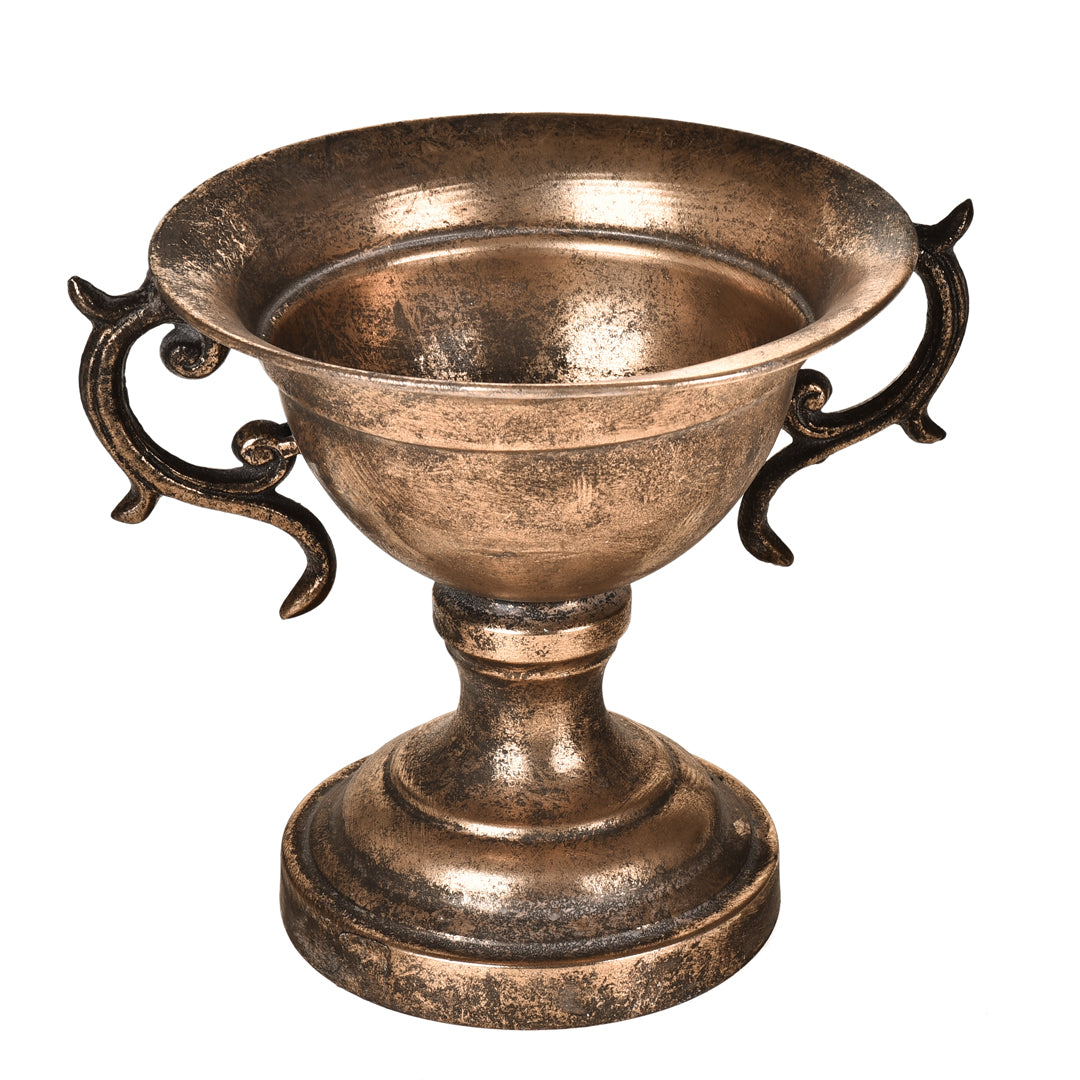 Coppa Metallo D.24,5 con Manici • 20 cm