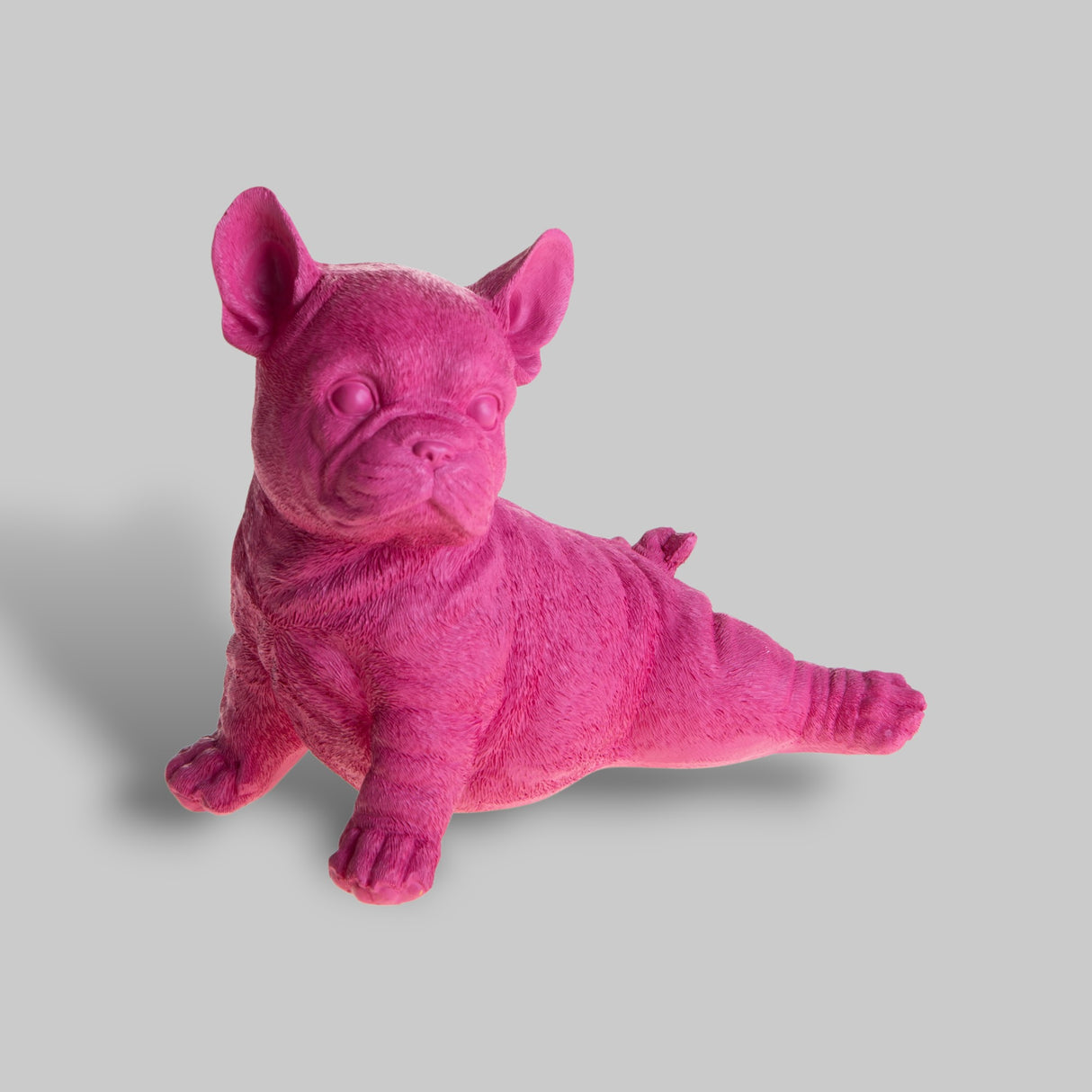 Bulldog • 18 cm