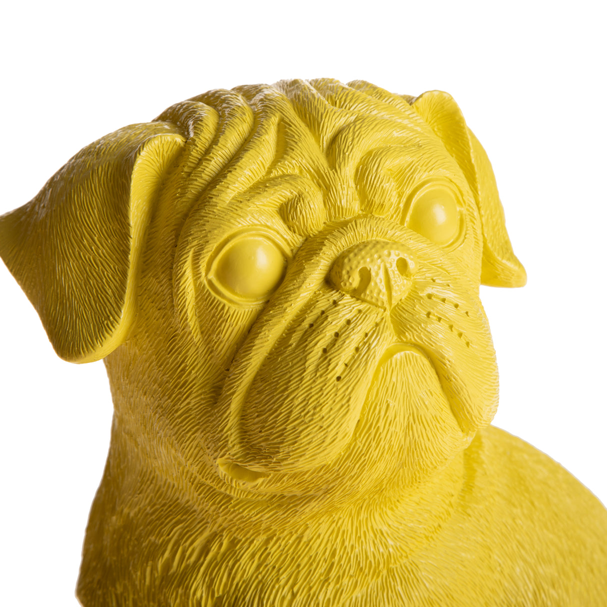 Cane Maltese • 23 cm