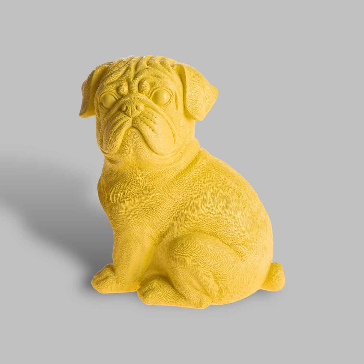 Cane Maltese • 23 cm