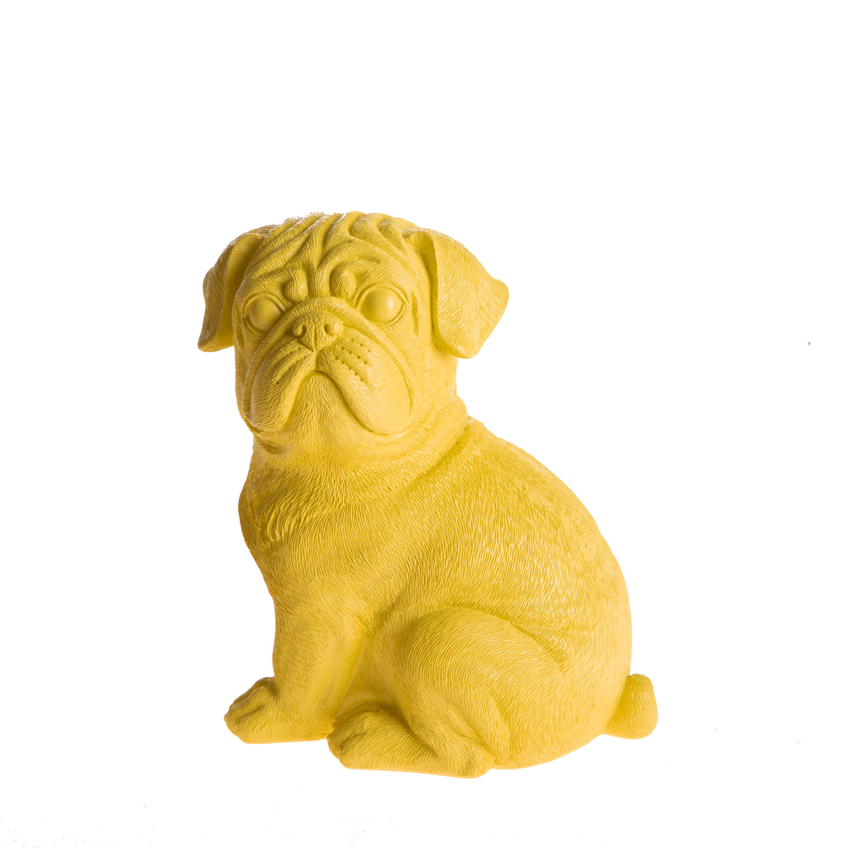 Cane Maltese • 23 cm