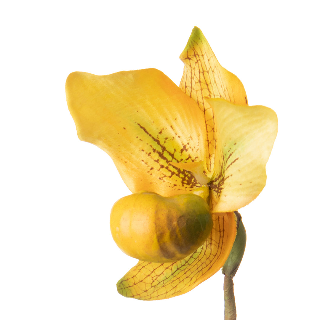2 Pezzi • Orchidea artificiale con scarpetta e foglie • 64 cm