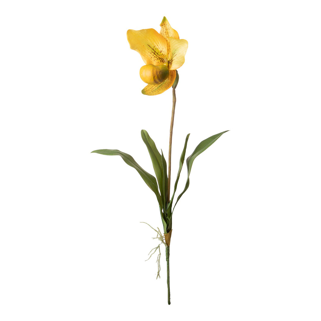 2 Pezzi • Orchidea artificiale con scarpetta e foglie • 64 cm