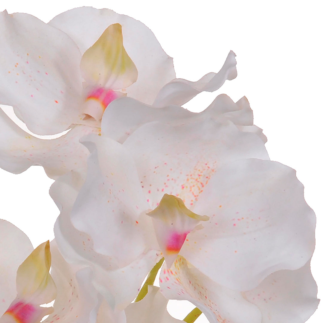 3 Pezzi • Orchidea artificiale vanda • 62 cm