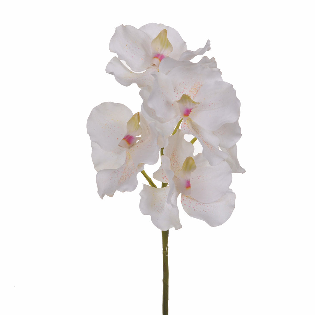 3 Pezzi • Orchidea artificiale vanda • 62 cm