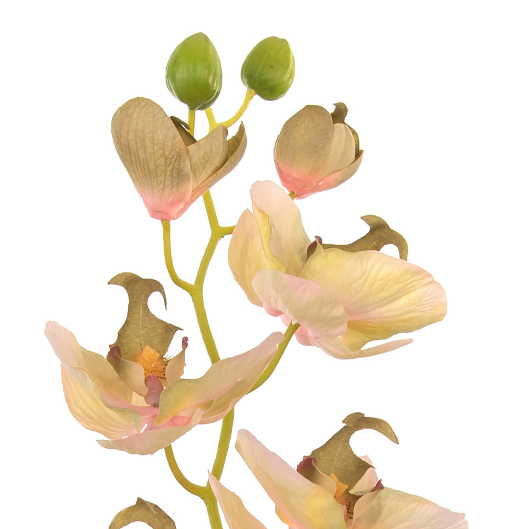 2 Pezzi • Orchidea artificiale con 10 fiori • 109 cm